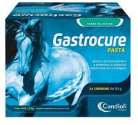 Candioli GASTROCURE 24 SIRINGHE PRERIEMPITE MANGIME COMPLEMENTARE IN PASTA CAVALLI