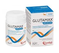 Candioli Pharma Glutamax Advanced Supporto della funzione epatica Compresse per cani 30 Compresse - Integratori per cani - 1° ORDINE? scegli lo sconto BZR5 / BZR20 + 200 punti fedeltà