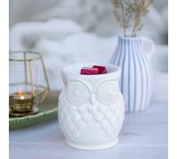 Candle Brothers Tealight profumata Gufo