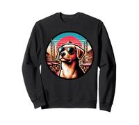 Cane A Istanbul Türkiye E Vacanza Turca Felpa