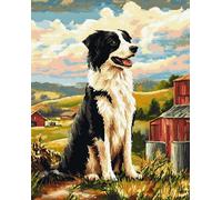Cane animale DIY rug Latch Hook Kits,Border Collie,Handmade Hanging Carpet Embroidery Making Kits,Home Decoration Rug for Adults And Beginners,80x115cm