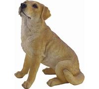 CANE ARTU'CM.22 ANTICO MESTIERE
