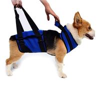 Cane Ascensore Cablaggio, Riabilitazione Cablaggi, Supporto Full Body & Recovery Sling, Regolabile Traspirante Cinghie Per Vecchi, Disabili, Lesioni Articolari, Artrite, Paralisi Cani Passeggiata,S