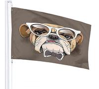 Cane Bandiera 4x6 FT Bulldog Cucciolo con Occhiali Carino Pois Papillon Hipster Bandiere per Esterni Grande Benvenuto Cortile Striscioni Casa Giardino Cortile Prato Decor Marrone