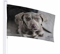 Cane Bandiera Decor 3x5 Ft Cucciolo Animale Domestico Singolo Amico Testa Seduto Mammifero Viso Furry Simpatico Effetto Furry Poliestere Stampato Motivo Decorazioni per Esterni per Case e Giardini