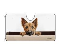 Cane Berger Picard Parasole Auto Parabrezza Pieghevole Copri Parabrezza per Car Portabile Copri Vetro Car Universale per Camion SUV Estate M