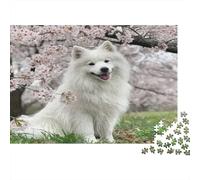 Cane bianco e soffice Puzzle Per Adulti 52x38cm/1000pcs,Giochi Di Sfida Scena di giardino primaverile
