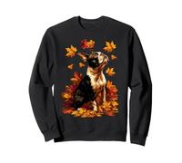 Cane Boston Terrier con Foglie Autunnali Bosco d'Autunno Felpa