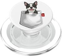 Cane Boston Terrier in tasca che sbircia cucciolo di cane carino PopSockets PopGrip per MagSafe