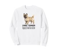 Cane Cairn Terrier Che Scava Problemi dal Primo Animale Domestico Felpa