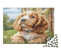 Cane Carino Carta resistente Cocker Spaniel sdraiato sull’erba vicino al muro di pietra Puzzle per adulti regalo di compleanno educativo 70x50cm/1000 pezzi