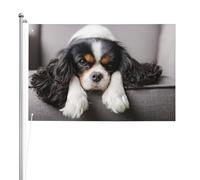 Cane Cavalier King Charles Spaniel,Bandiera da giardino, bandiera decorativa da cortile, bandiera bifacciale, 2x3 piedi, per esterni e interni