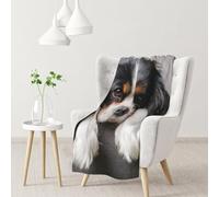 Cane Cavalier King Charles Spaniel,Coperta morbida, calda, anti-pilling, in flanella, peluche, 76 x 102 cm