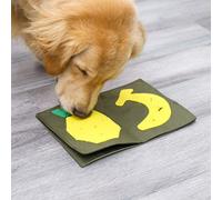 Cane che alimenta la stuoia del romanzo del cane del cane da uomo del cane da