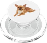 Cane Chihuahua carino PopSockets PopGrip per MagSafe