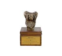 Cane Cinese Shih Tzu Urna Marrone Art-Dog