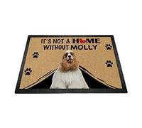 Cane Cocker Spaniel Americano Personalizzato, Non È Una Casa Senza Cane Tappeti D'Ingresso Facile Da Pulire Tappetini Porta Dingresso Lavabile Tappetino Da Bagno Per Balcone Terrazzo 40X60Cm