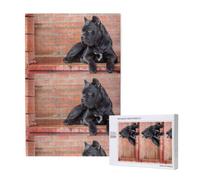 Cane Corso Big Black Dogs Pets, 1000 Pieces Adults Puzzle Game Challenging Puzzles, Jigsaw Puzzles