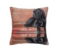 Cane Corso Big Black Dogs Pets,Federa con zip nascosta,Federa per cuscino in poliestere, Federa decorativa con stampa su entrambi i lati