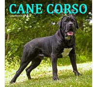 Cane Corso Calendar 2027: Dog Portraits and Breed Scenes