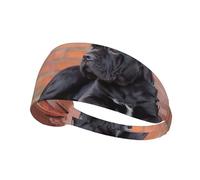 Cane Corso Grandi Cani Neri Animali Domestici,Fascia elastica per capelli multiuso unisex, fascia antisudore sportiva