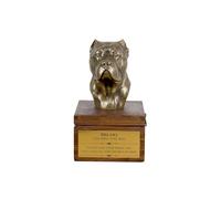 Cane Corso Marrone Urna Art-Dog