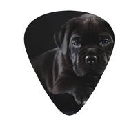 Cane Corso Pets Puppy Black Cane Corso,12 pezzi di plettri per chitarra, 3 plettri di diverso spessore per chitarra acustica, basso, ukulele