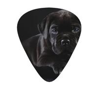 Cane Corso Pets Puppy Black Cane Corso,12 pezzi di plettri per chitarra, 3 plettri di diverso spessore per chitarra acustica, basso, ukulele