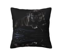 Cane Corso Pets Puppy Black Cane Corso, federa con cerniera nascosta, federa per cuscino in poliestere, federa decorativa con stampa su entrambi i lati