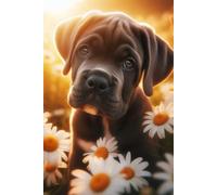 Cane Corso Puppy face Notebook - Large 6 x 9 inches - 127 Pages