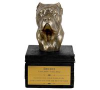 Cane Corso urne sulla scatola nera Art-Dog