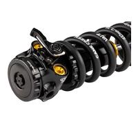 Cane Cr mmortizzatore Db Coil Il G2 Factory Tune Trunnion Black