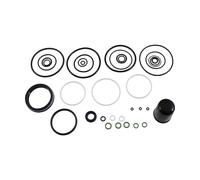 Cane Creek Kitsuma Air 100h Service Kit Argento Multicolor