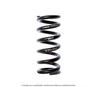CANE CREEK MOLLA VALT LINEARE 65 MM 50 INCH 600 LBS/INCH