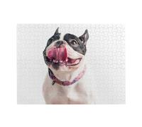 Cane curioso e felice, bulldog francese, puzzle da 500 pezzi per adulti - Puzzle in legno per adulti e anziani