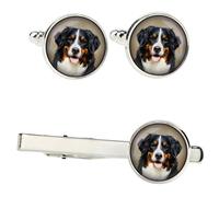 Cane da montagna bernese set di mollette in una scatola con immagine Art-Dog