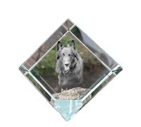 Cane da pastore belga dado di cristallo con cane Art-Dog