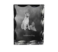 Cane da pastore belga Laekenois cornice di cristallo con cane Art-Dog