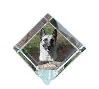 Cane da pastore belga Malinois dado di cristallo con cane Art-Dog