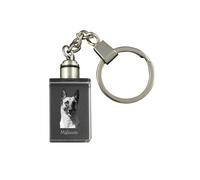 Cane da pastore belga Malinois portachiavi con cane in cristallo Art-Dog