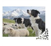 Cane da Pastore e Pecore Puzzle 1000 Pezzi Carta per Adulti Paesaggio di Pascoli Montani Gioco di Puzzle 1000 Pezzi Relax Famiglia Regalo Casa 38x26cm/1000pcs