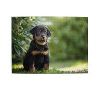 Cane da pastore francese Beauceron cucciolo nero carino, puzzle da 500 pezzi per adulti - puzzle in legno per adulti anziani