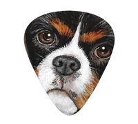 Cane da regalo Cavalier King Charles Spaniel,12 pezzi di plettri per chitarra, 3 plettri di diverso spessore per chitarra acustica, basso, ukulele