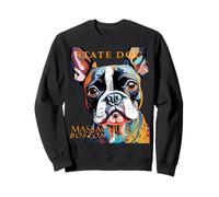 Cane del Territorio del Massachusetts The Boston Terrier Artistic Felpa