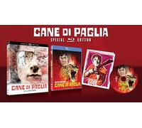 Cane Di Paglia