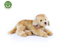 Cane di peluche Golden Retriever ECO-FRIENDLY
