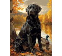 Cane Dipingere con i Numeri Adulti, Dipingere con i Numeri Uccello, Paint by Numbers Kit Fai da Te con 3 Pennelli e Vernice Acrilica, Painting by Numbers Figured'art, Regalo Donna, 40x50 cm 2-3666