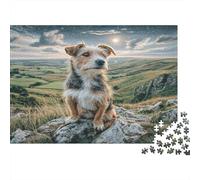 Cane domestico carino - Cane su cartone sulla rupe rocciosa di montagna - Puzzle premium - Allenamento mentale - Arredamento casa - 70x50cm/1000 pezzi