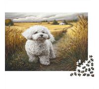 Cane domestico carino - Carta riciclata - Pastore australiano nella piazza del centro storico con chiesa - Puzzle - Giocattolo educativo per tutta la famiglia - 38x26cm/1000 pezzi