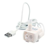 Cane Gatto Cucciolo Animale Domestico Bere Cascata Bevanda D'acqua Dolce